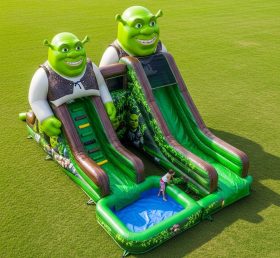 T8-7462 Shrek Theme Inflatable Water Slide