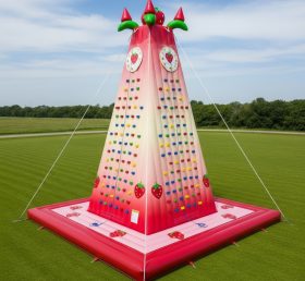 T11-4393 Strawberry Shortcake Theme Inflatable Climbing Wall