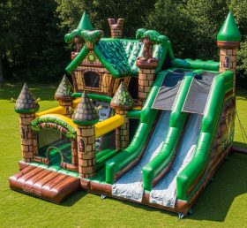 T5-2447 Shrek Theme Inflatable Castles